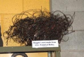 Magpie nest. Criteria for the museum is firstly, is it relevant to the district or is it interesting? We have lots of unusual items.